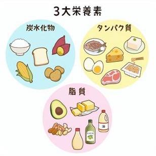 在宅での食事管理 配食弁当のメリットと注意点