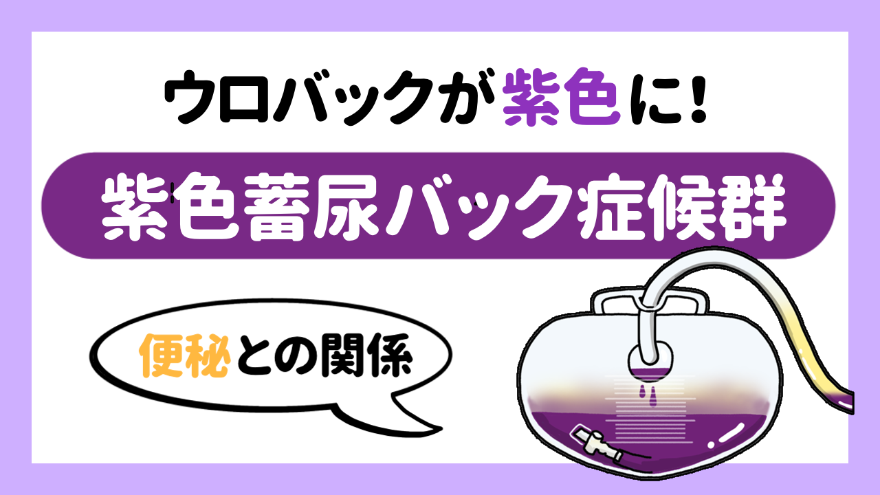 ウロバッグが紫色に！！紫色蓄尿バッグ症候群の原因の1つ、便秘との関係
