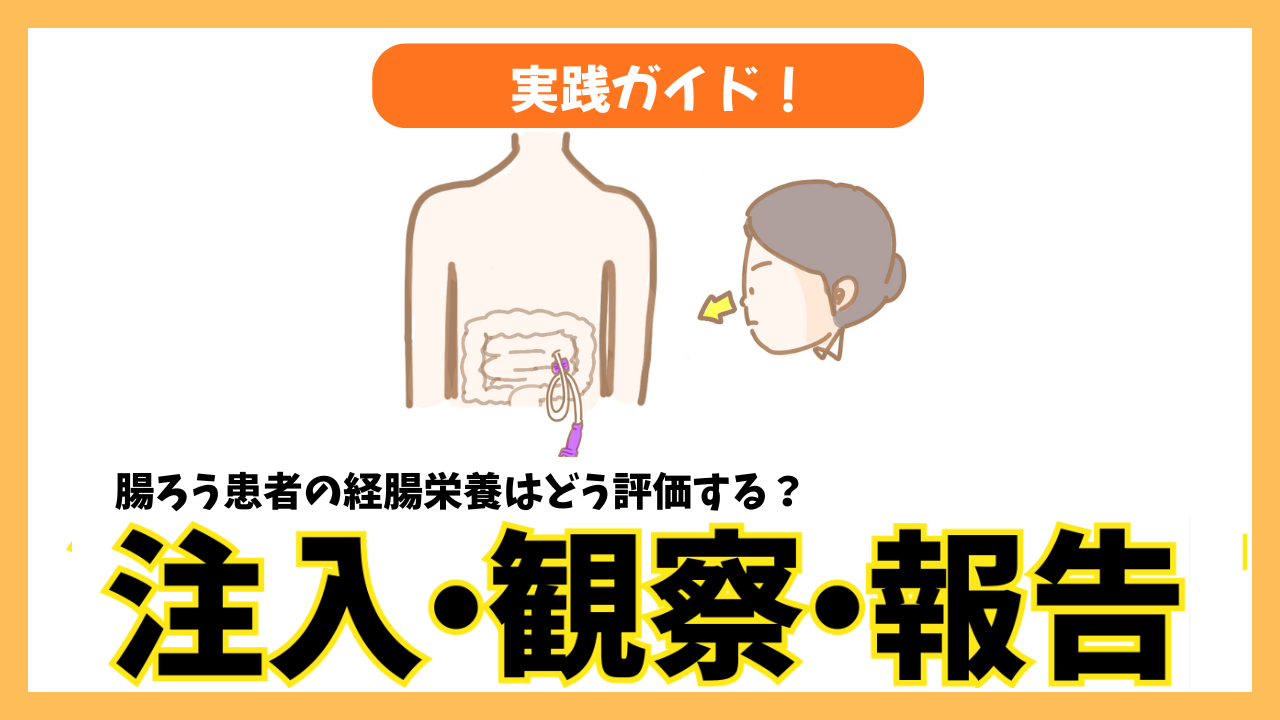 　腸ろう患者の経腸栄養はどう評価する？注入・観察・報告の実践ガイド