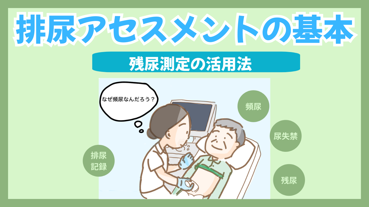 排尿アセスメントの基本｜看護師が見るべき5項目と残尿測定の活用法