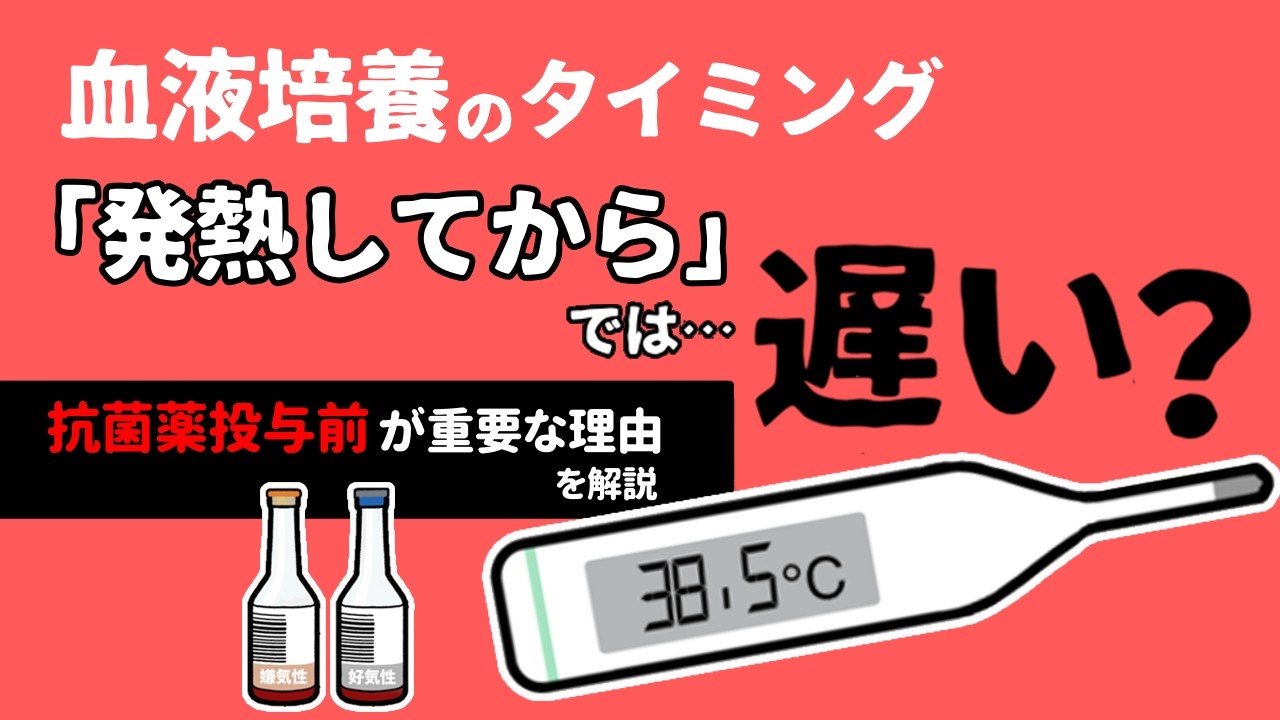血液培養のタイミングは「発熱してから」では遅い？抗菌薬投与前が重要な理由を解説
