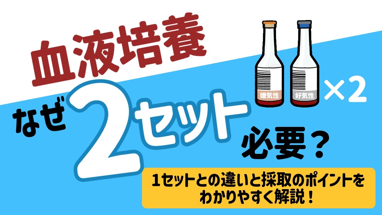 血液培養はなぜ2セット必要？1セットとの違いと採取のポイントをわかりやすく解説